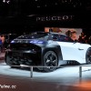 Photo Peugeot Fractal - Salon de Paris 2016