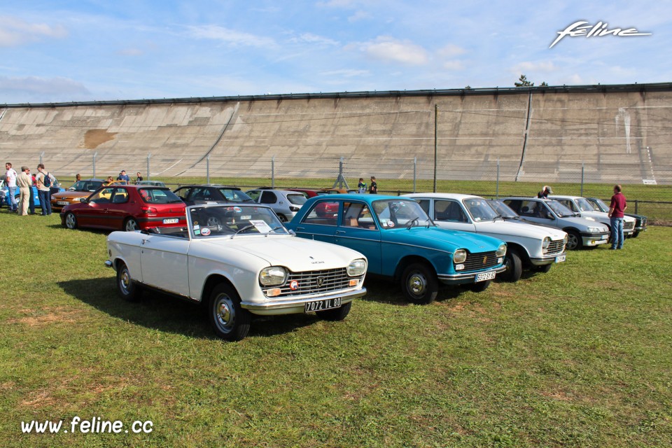 Photo Peugeot 204 - Les Grandes Heures Automobiles 2017