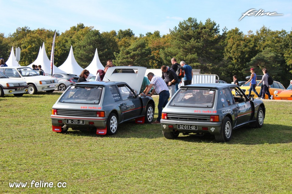 Photo Peugeot 205 T16 - Les Grandes Heures Automobiles 2017