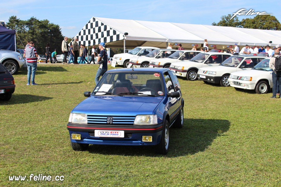 Photo Peugeot 205 GTi - Les Grandes Heures Automobiles 2017
