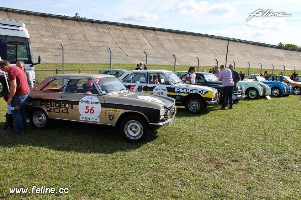 Photo Peugeot historiques - Les Grandes Heures Automobiles 2017