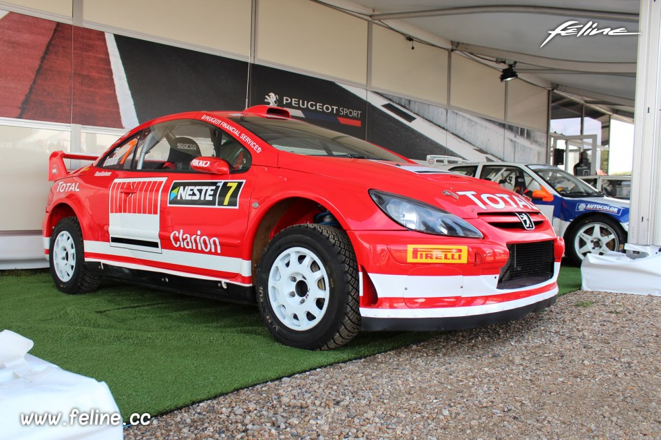 Photo Peugeot 307 WRC - Les Grandes Heures Automobiles 2017