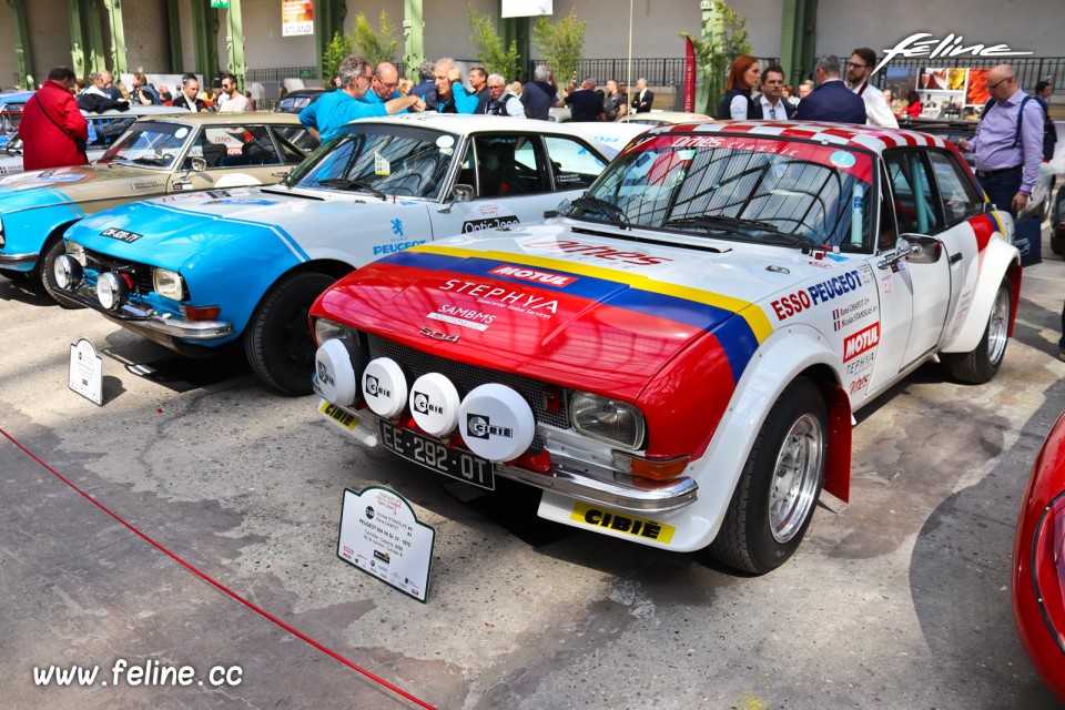 Photo Peugeot 504 V6 Gr. IV 1975 (n° 248) - Paris - Tour Auto 2