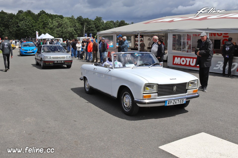 Photo Peugeot 304 Cabriolet - Liberté, Egalité, Roulez 2019