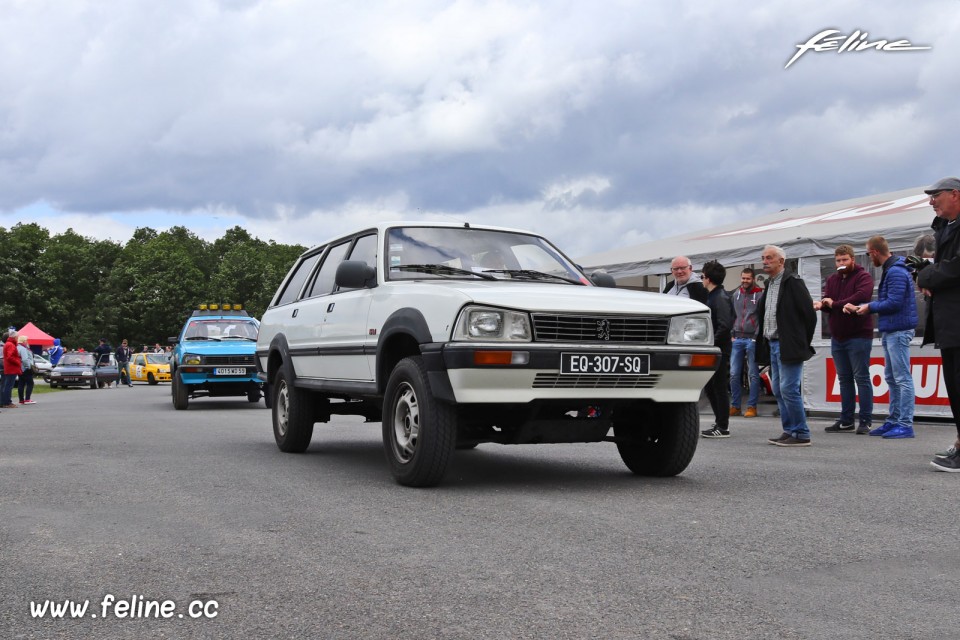 Photo Peugeot 505 - Liberté, Egalité, Roulez 2019