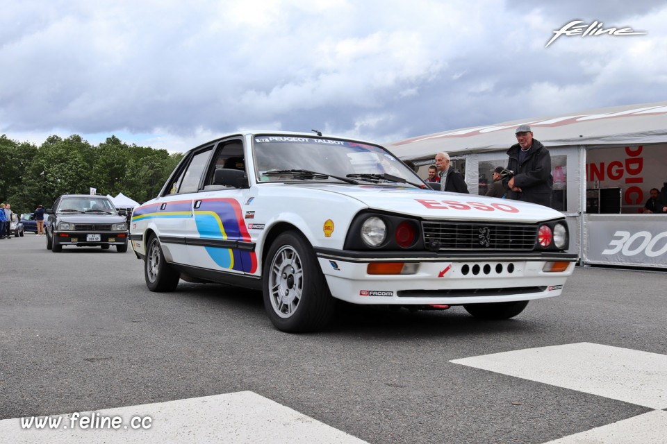 Photo Peugeot 505 - Liberté, Egalité, Roulez 2019