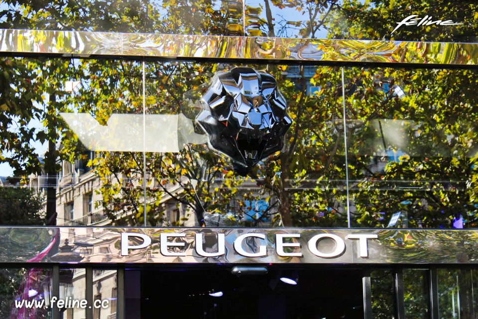 Nouvelle enseigne Peugeot Avenue - Septembre 2014