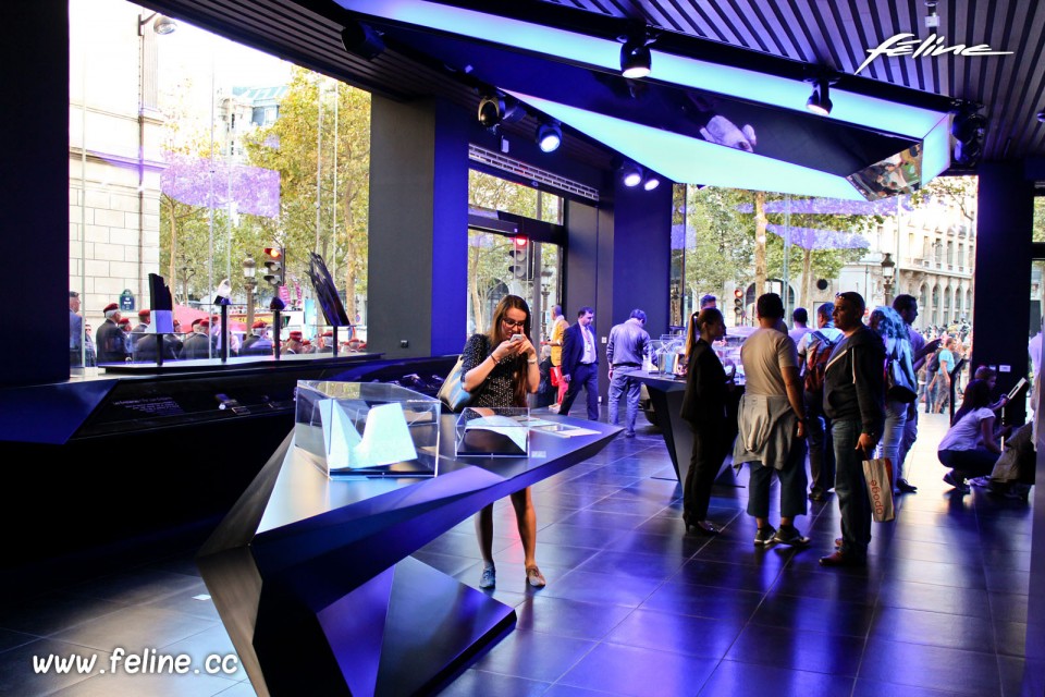 Nouveau Peugeot Avenue - Septembre 2014