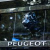 Nouvelle vitrine Peugeot Avenue Paris - Septembre 2014