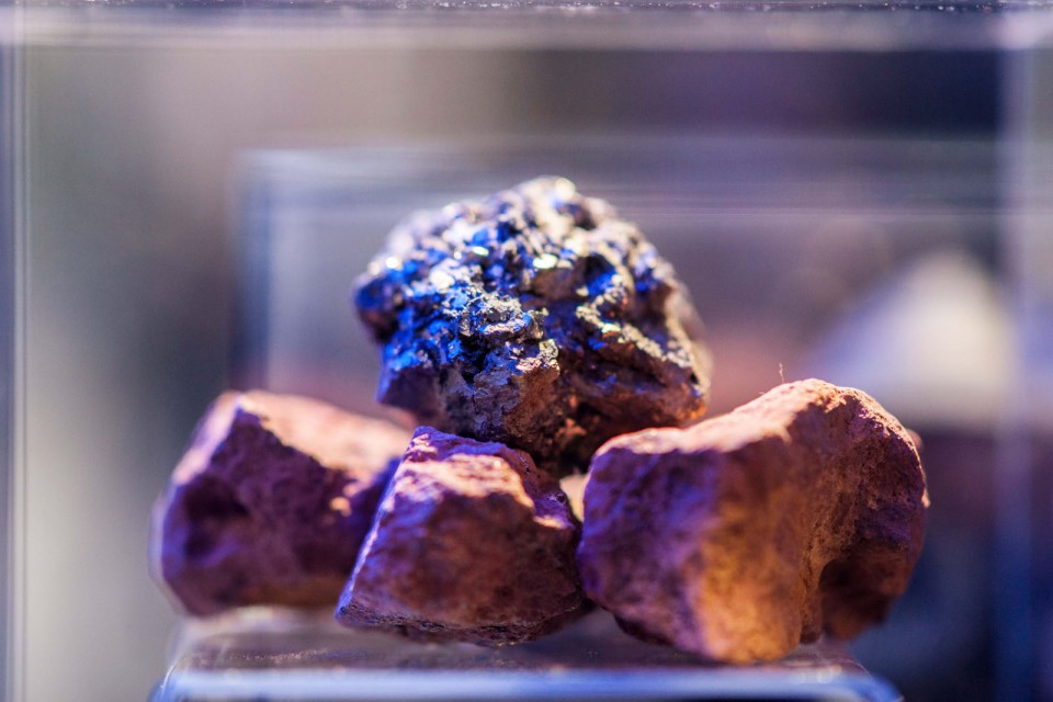 Vitrine Peugeot Avenue Paris Noël - Novembre 2014