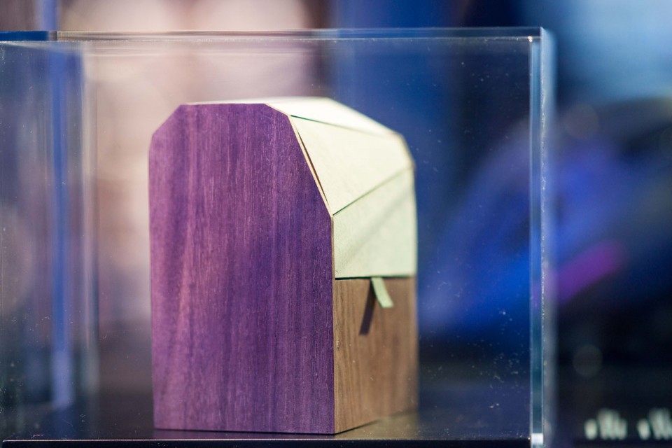 Vitrine Peugeot Avenue Paris Noël - Novembre 2014