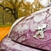 Photo Essai Peugeot 107 Active Prune Plum - 1.0e 12V 68 ch ETG5 - 1-020