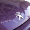 Photo sigle lion Peugeot 107 Prune Plum - 1-021