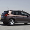 Photo profil statique Peugeot 2008 I Brun Makaha (2013) - 1-006