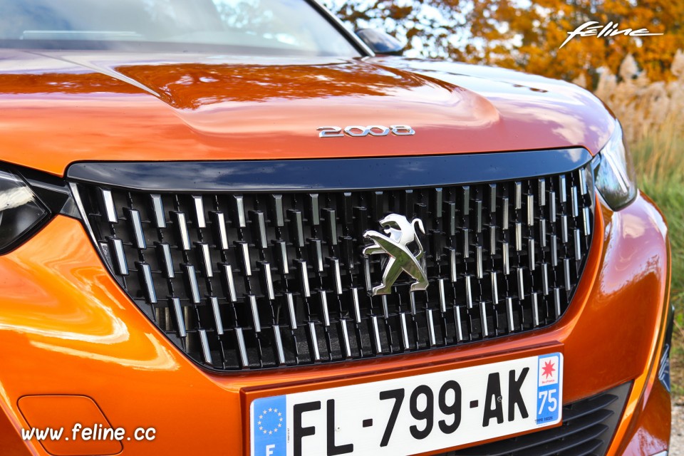 Photo calandre avant Peugeot 2008 II GT PureTech 155 (2019)