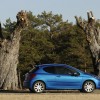 Photo Peugeot 207 RC