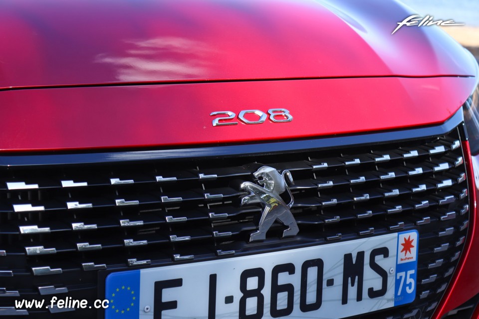 Photo détail sigles calandre Peugeot 208 II Allure (2019)