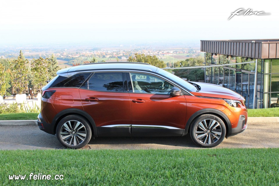 Photo profil Peugeot 3008 Allure II Metallic Copper (2016)