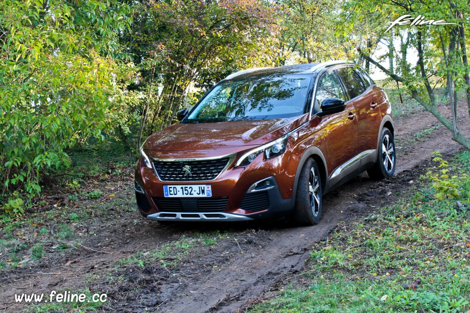 Photo essai sur terre Peugeot 3008 II (2016)