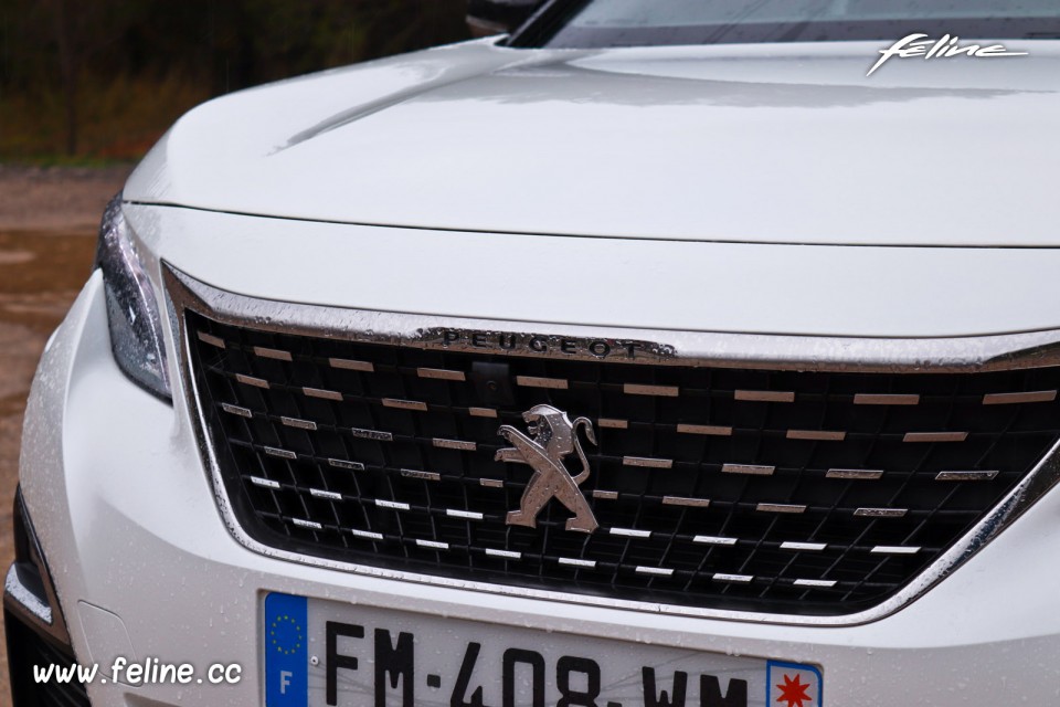 Photo calandre avant chromée Peugeot 3008 II GT HYbrid4 300 (20