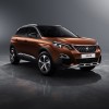 Photo Peugeot 3008 II (2016)