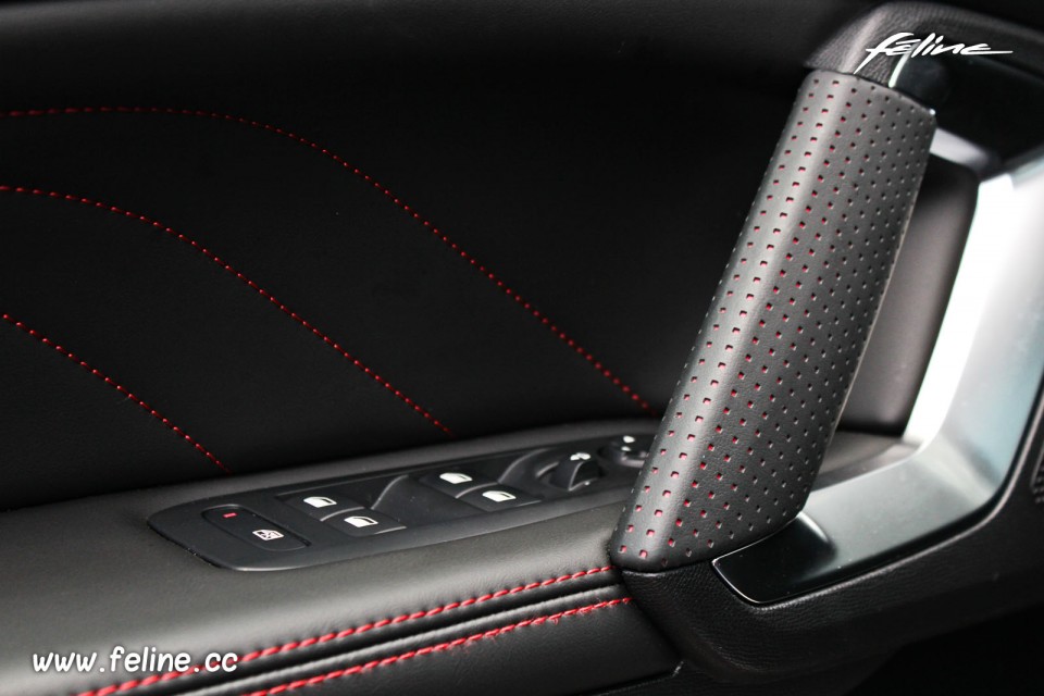 Photo poignée de porte intérieure Peugeot 308 GT - 2.0 BlueHDi