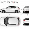 Photo Peugeot 308 GTi