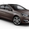 Photo Peugeot 308 SW Brun Rich Oak