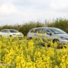 Photo Essai Peugeot 308 SW II Allure Blanc Nacré & Féline Gris Artense