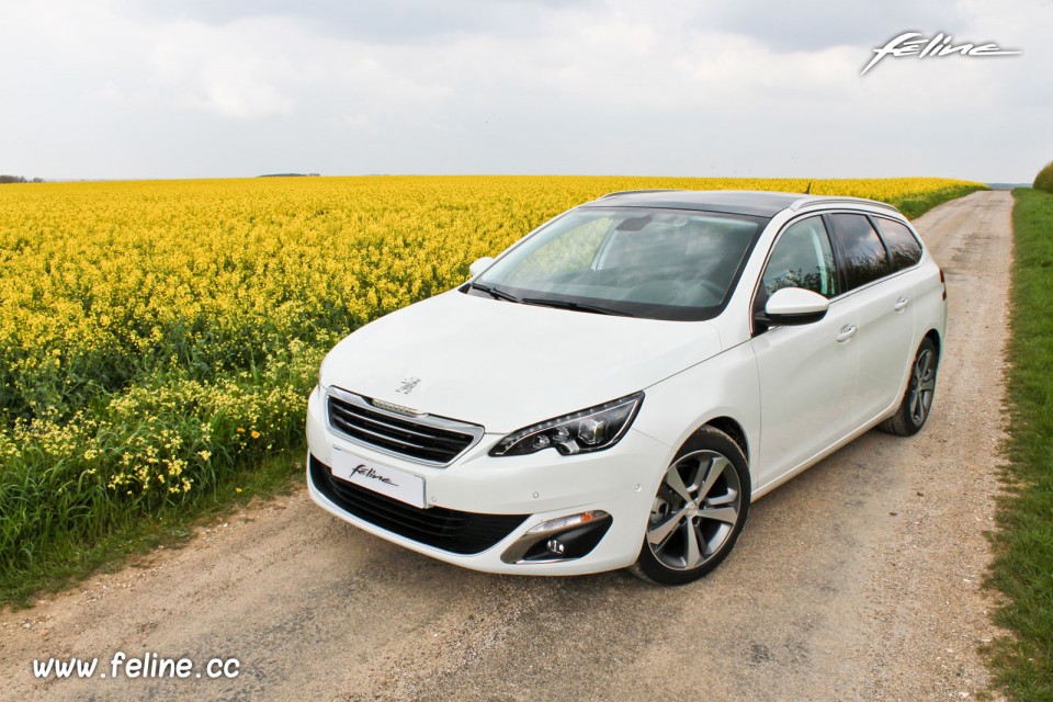 Photo 3/4 avant Peugeot 308 SW II Allure Blanc Nacré - 2.0 BlueHDi 150