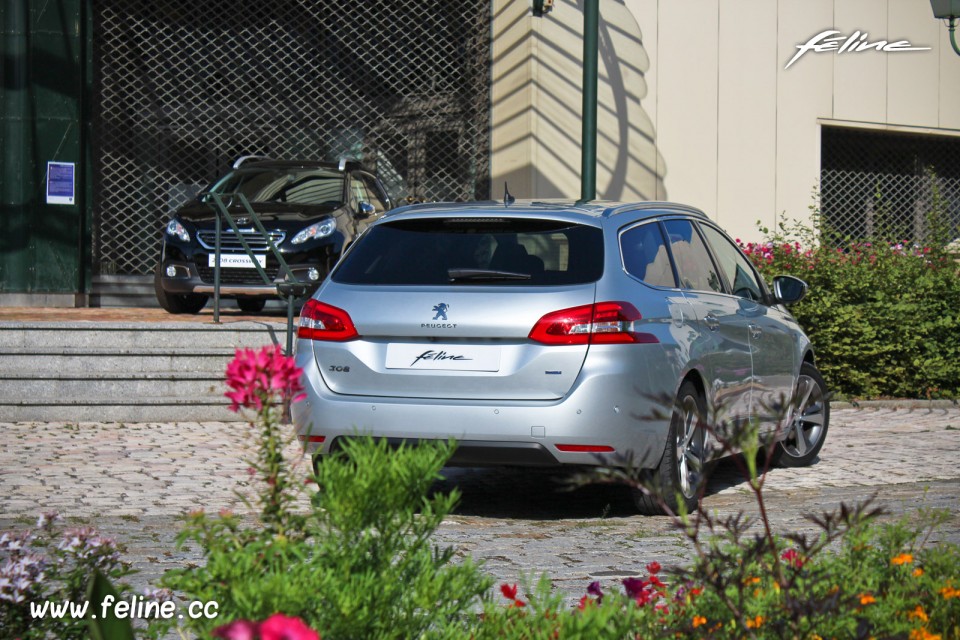 Photo Musée Peugeot 308 SW II Féline Gris Aluminium - 2.0 BlueHDi 150 EAT6