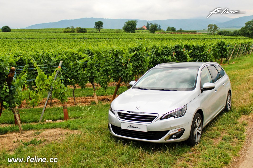 Photo route des vins Alsace Peugeot 308 SW II Féline Gris Aluminium - 2.0 BlueHDi 150 EAT6