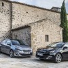 Photo Peugeot 308 II Féline Gris Artense (Espagne)