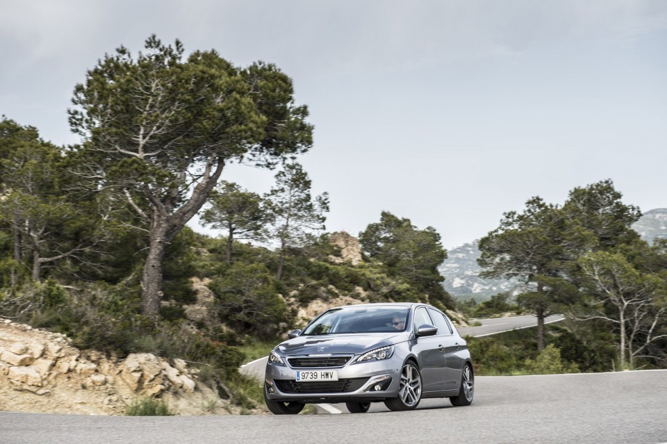 Photo Peugeot 308 II Féline Gris Artense (Espagne)