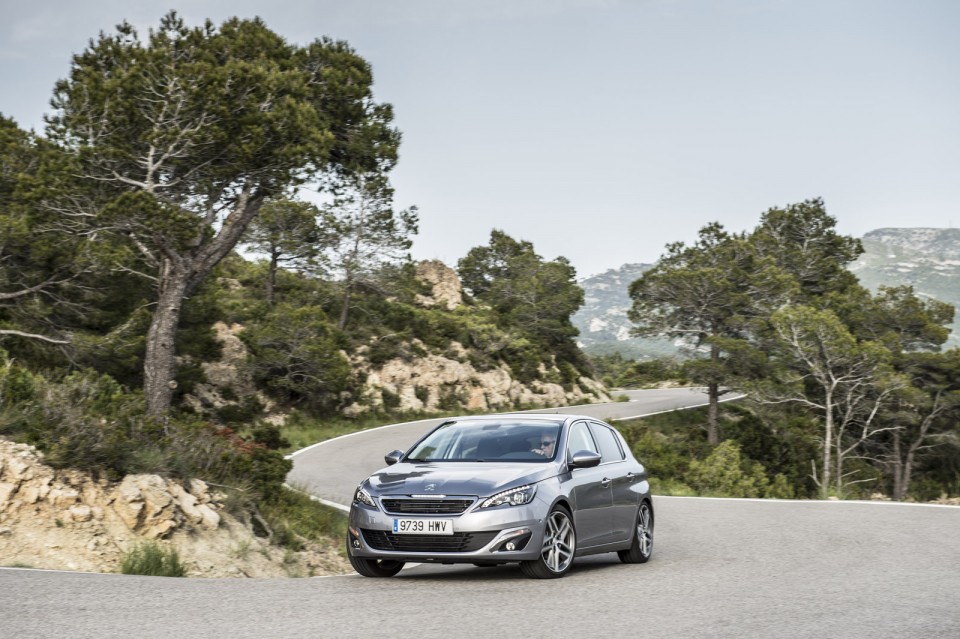 Photo Peugeot 308 II Féline Gris Artense (Espagne)