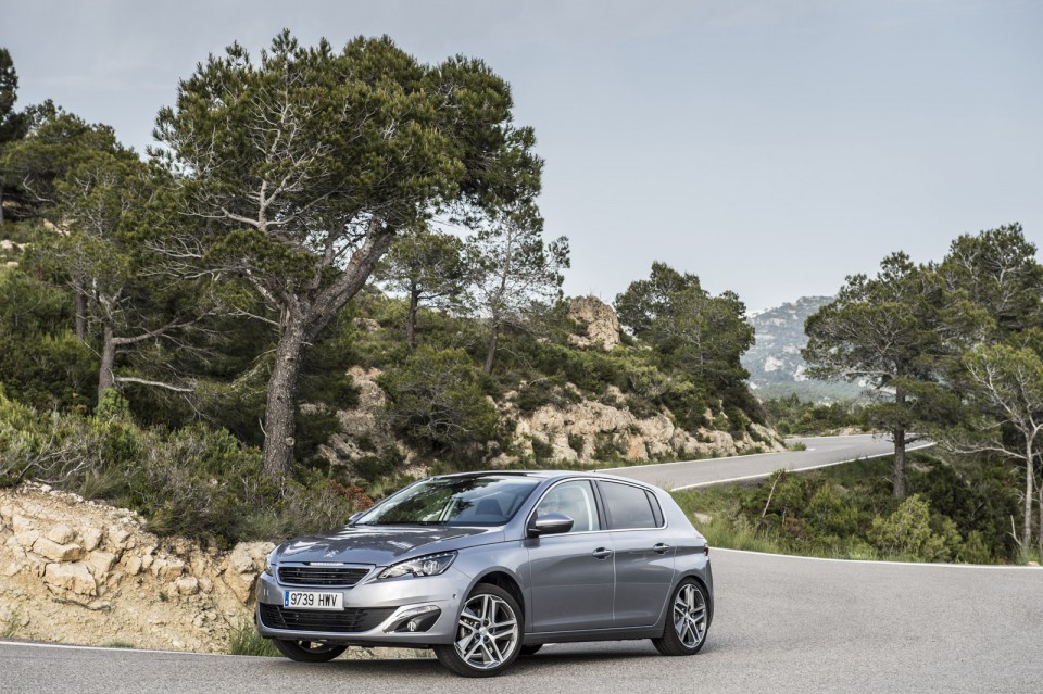 Photo Peugeot 308 II Féline Gris Artense (Espagne)