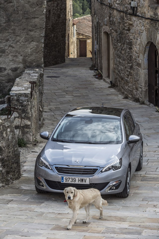 Photo Peugeot 308 II Féline Gris Artense (Espagne)