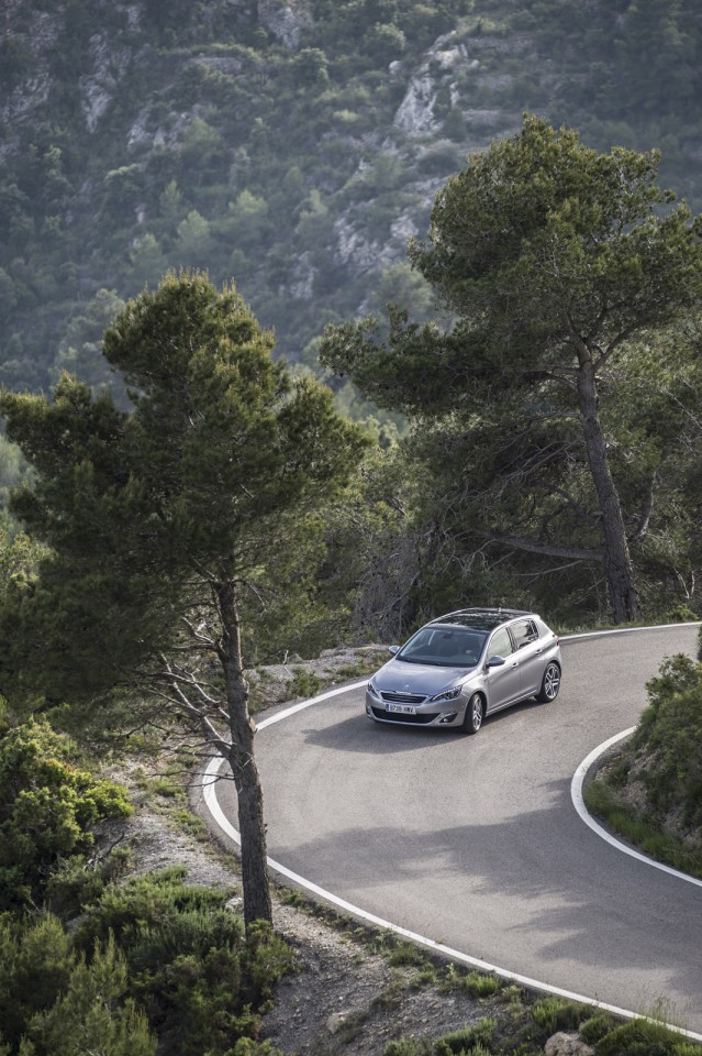 Photo Peugeot 308 II Féline Gris Artense (Espagne)