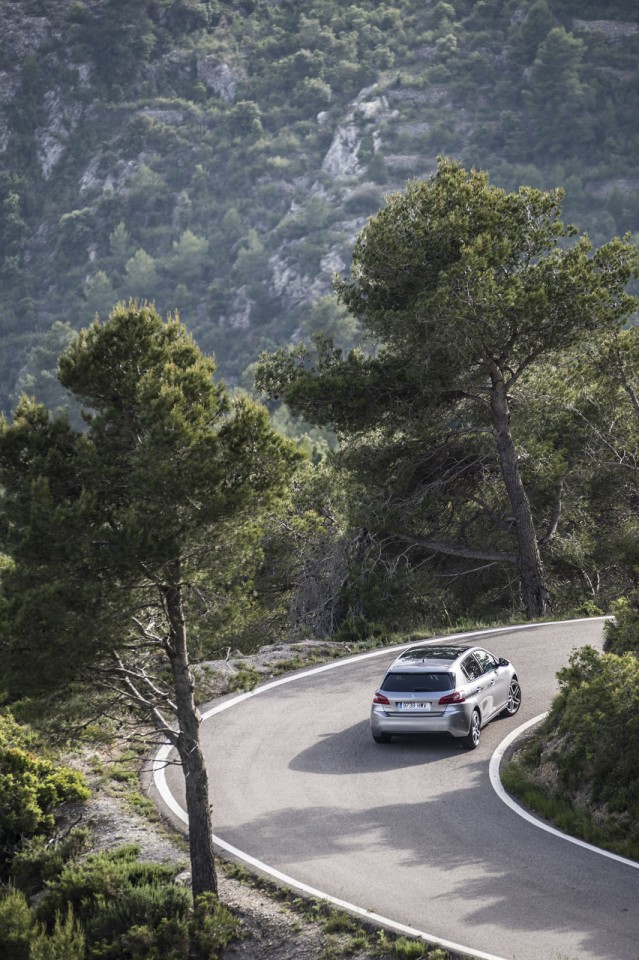 Photo Peugeot 308 II Féline Gris Artense (Espagne)