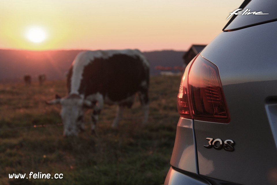 Photo essai Peugeot 308 II Féline Gris Artense 1.6 e-HDi 115 -1-032