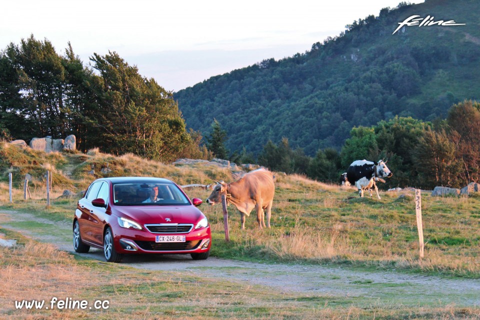 Photo essai Peugeot 308 II Féline Rouge Rubi 1.6 THP 155 -1-033