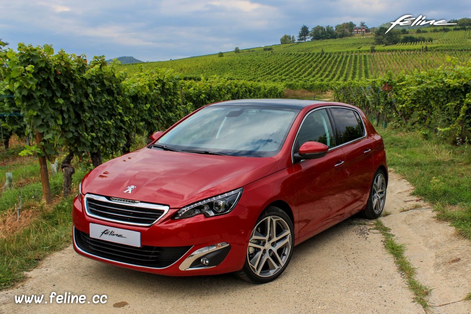 Photo 3/4 avant vignes Peugeot 308 II Féline Rouge Rubi 1.6 THP 155 -1-059