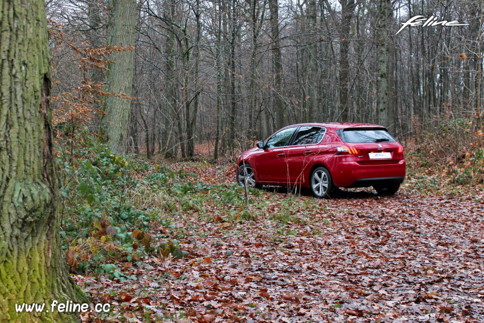 Photo Essai Peugeot 308 II Allure Rouge Rubi - 1.6 THP 125 ch BVM6 - 3-016