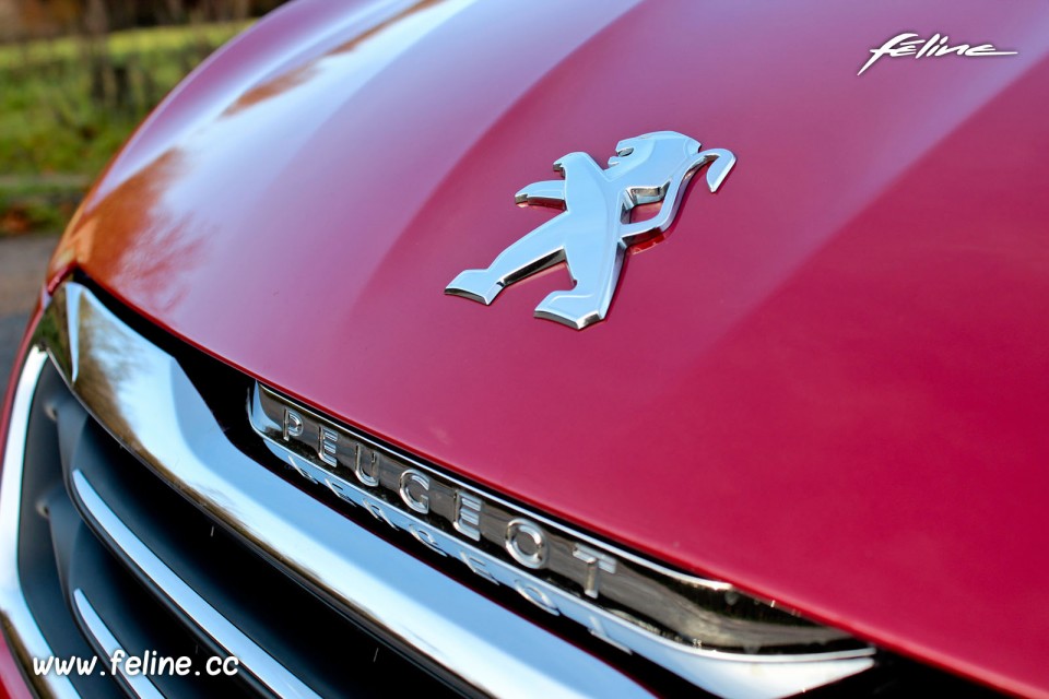 Photo sigle Peugeot capot Peugeot 308 II Allure Rouge Rubi - 1.6 THP 125 ch BVM6 - 3-041