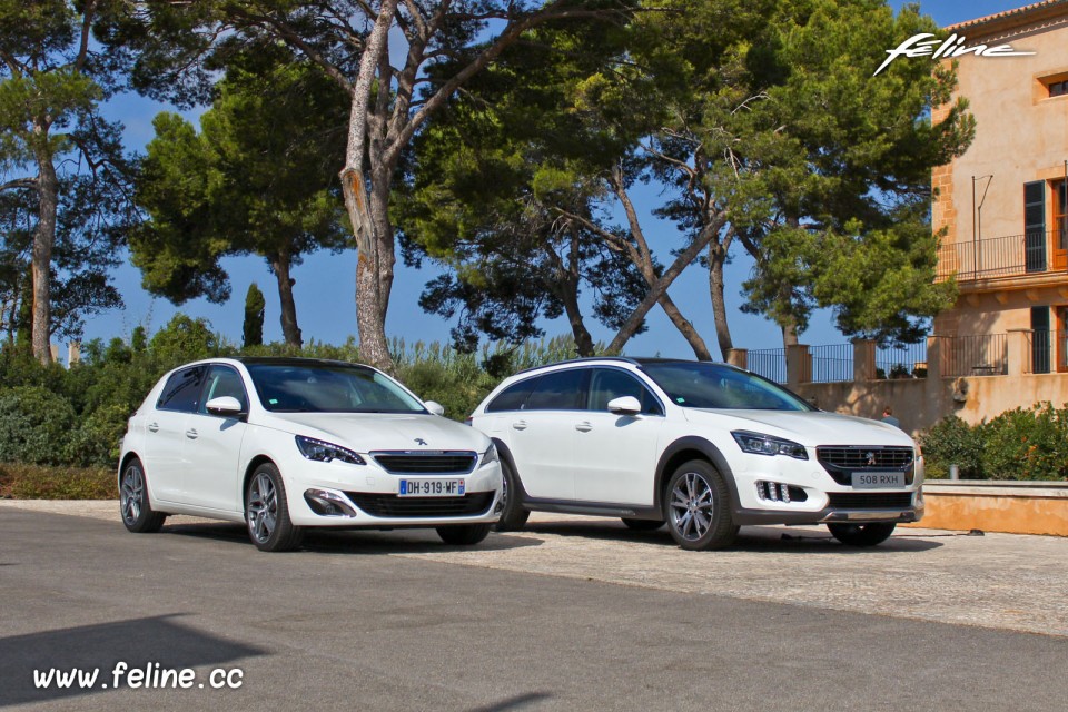 Photo essai Peugeot 308 II Féline et 508 RXH Blanc Nacré