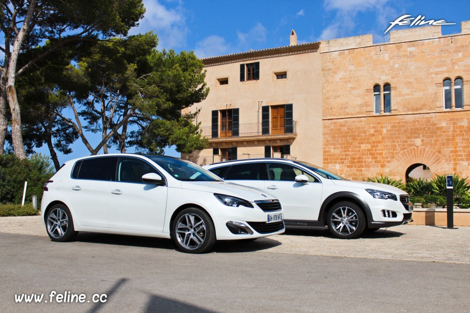 Photo essai Peugeot 308 II Féline et 508 RXH Blanc Nacré