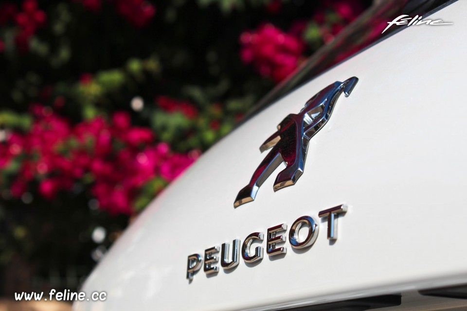 Photo sigle Peugeot 308 II Féline Blanc Nacré