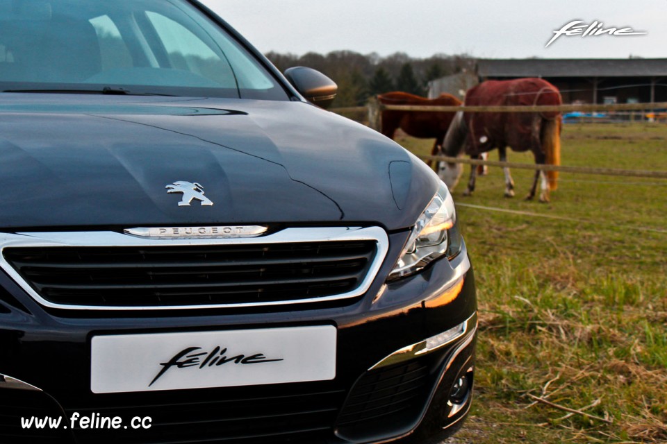 Photo Essai Peugeot 308 II Access Dark Blue - 1.2 PureTech 82 ch
