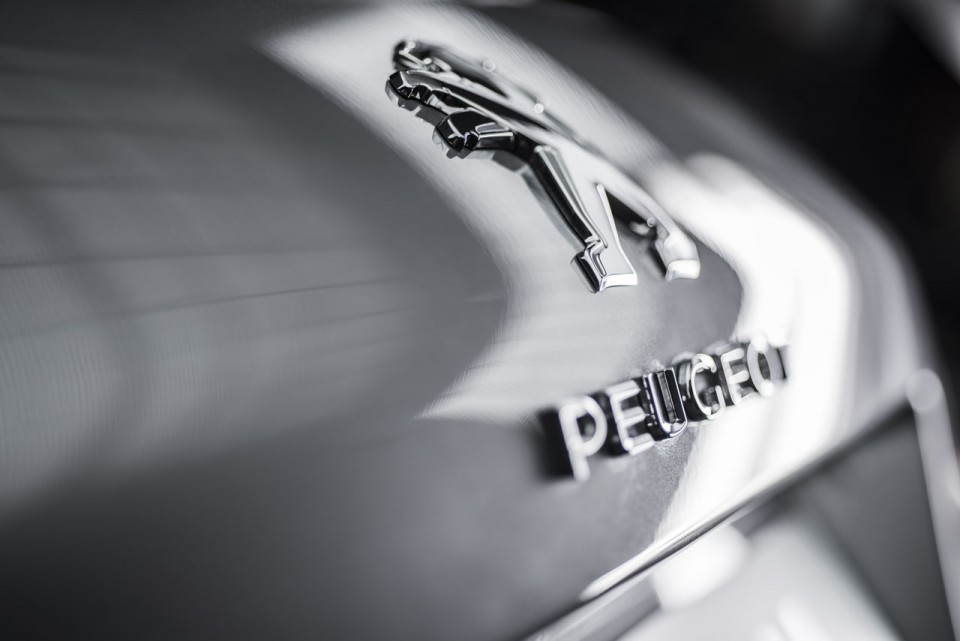Photo sigle Peugeot 308 II - 2-097
