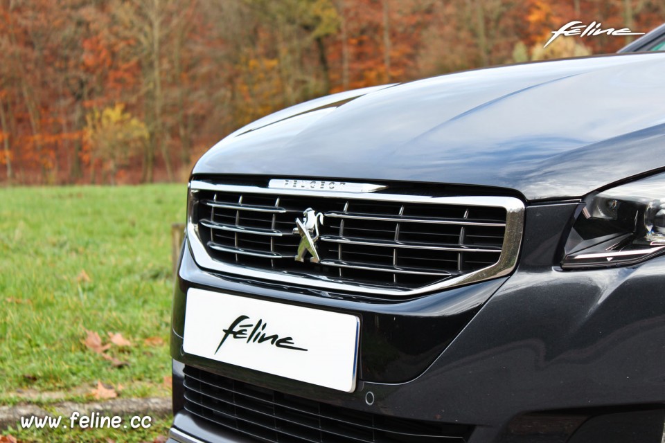 Photo grille avant chromée Peugeot 508 RXH I phase 2 Gris Haria